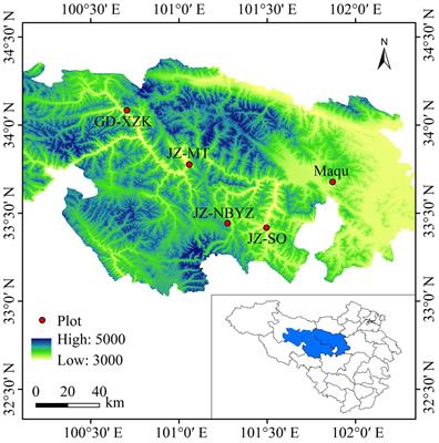 Temporal–spatial variability of grazing behaviors of yaks and the drivers of their intake on the eastern Qinghai-Tibetan Plateau